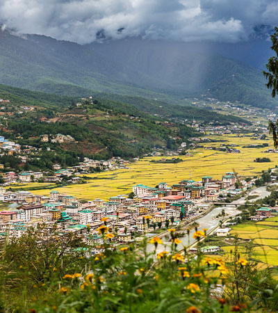 Explore Paro